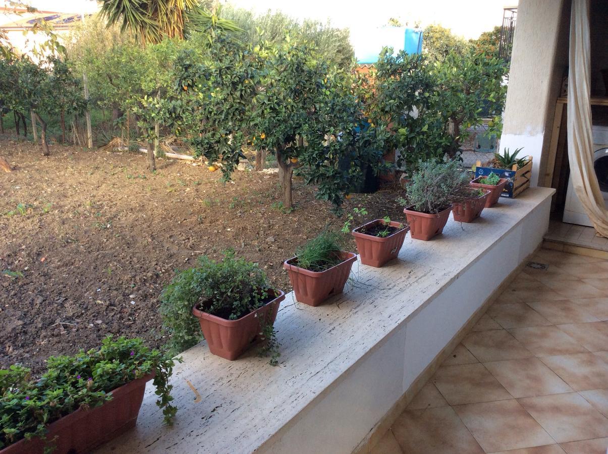 Ifioridisicilia Bed and Breakfast Campofelice Di Roccella Eksteriør billede