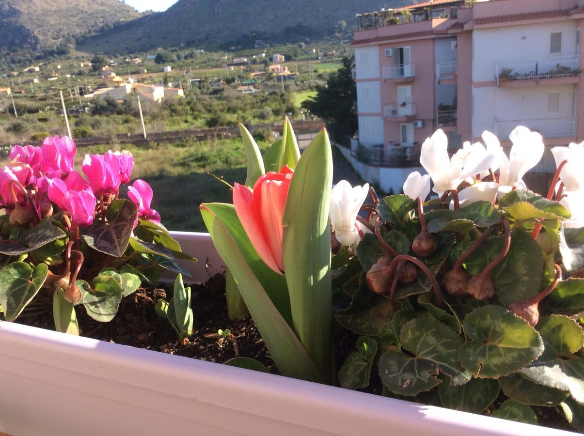 Ifioridisicilia Bed and Breakfast Campofelice Di Roccella Eksteriør billede